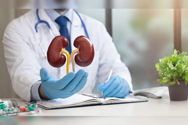 Kidney Function Test