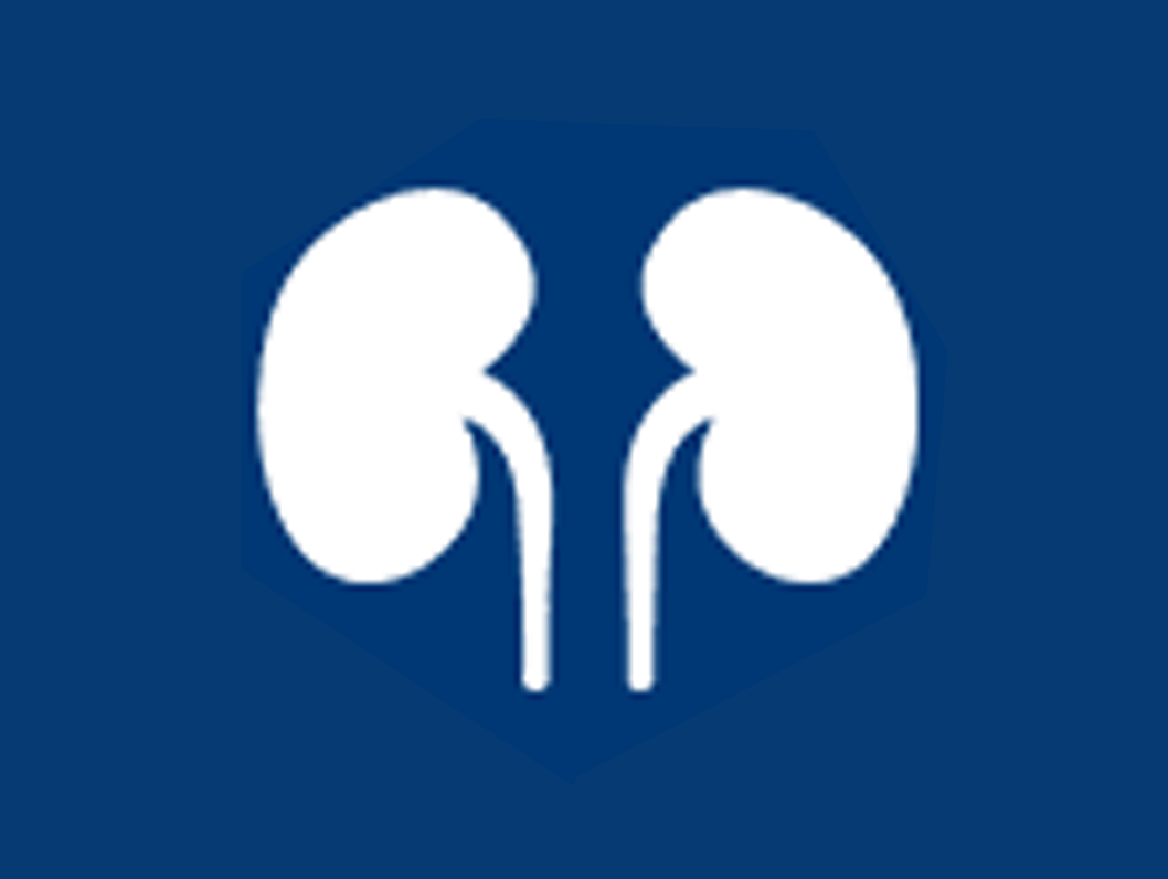 Kidney Function Test