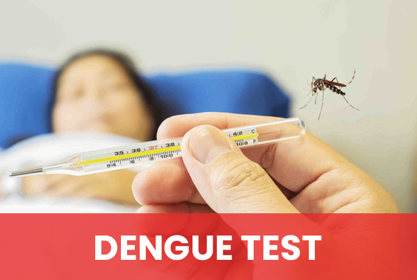Dengue Test